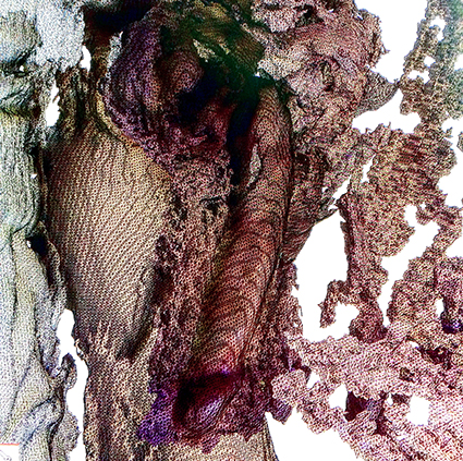 Interrupted 3D scan by artist Paul Coombs